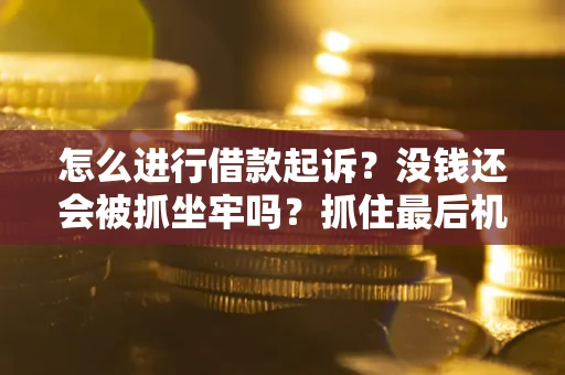 北京怎么进行借款起诉？没钱还会被抓坐牢吗？抓住最后机会！