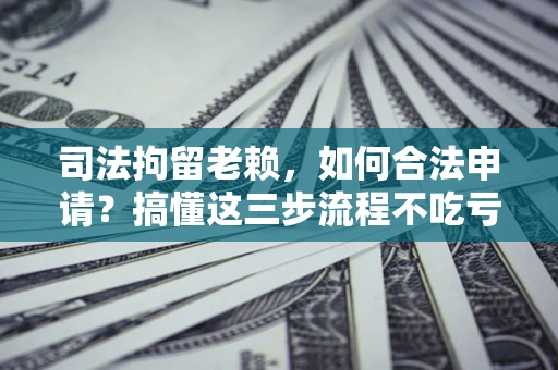 北京司法拘留老赖，如何合法申请？搞懂这三步流程不吃亏！