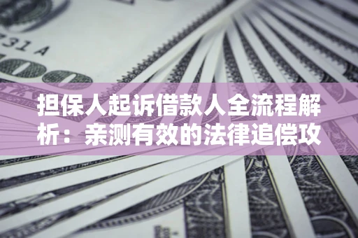 北京担保人起诉借款人全流程解析：亲测有效的法律追偿攻略