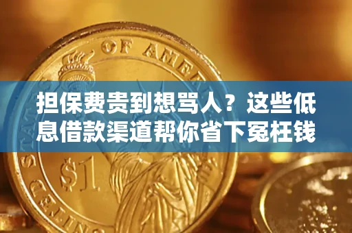 北京担保费贵到想骂人？这些低息借款渠道帮你省下冤枉钱