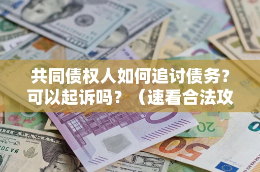 北京共同债权人如何追讨债务？可以起诉吗？（速看合法攻略）
