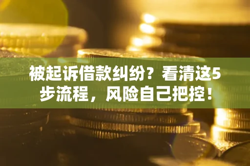 北京被起诉借款纠纷？看清这5步流程，风险自己把控！