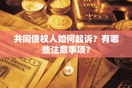 北京共同债权人如何起诉？有哪些注意事项？